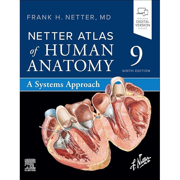 Netter Atlas of Human Anatomy: Classic Regional Approach (Netter